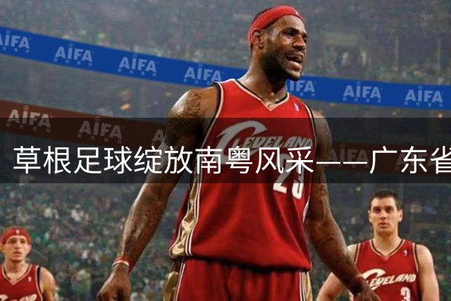 草根足球绽放南粤风采——广东省城市联赛观察